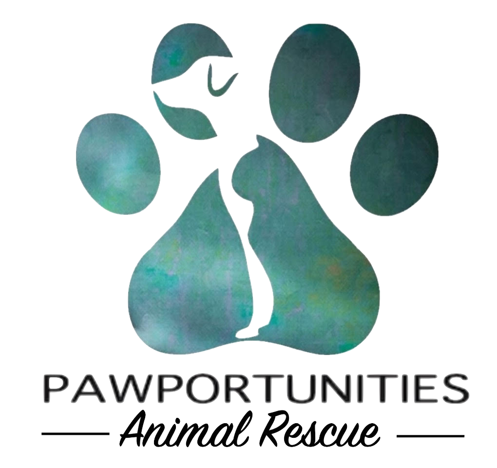 Pawportunities Animal Rescue