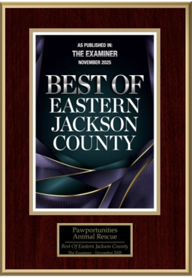 Best of Eastern Jackson County recognition