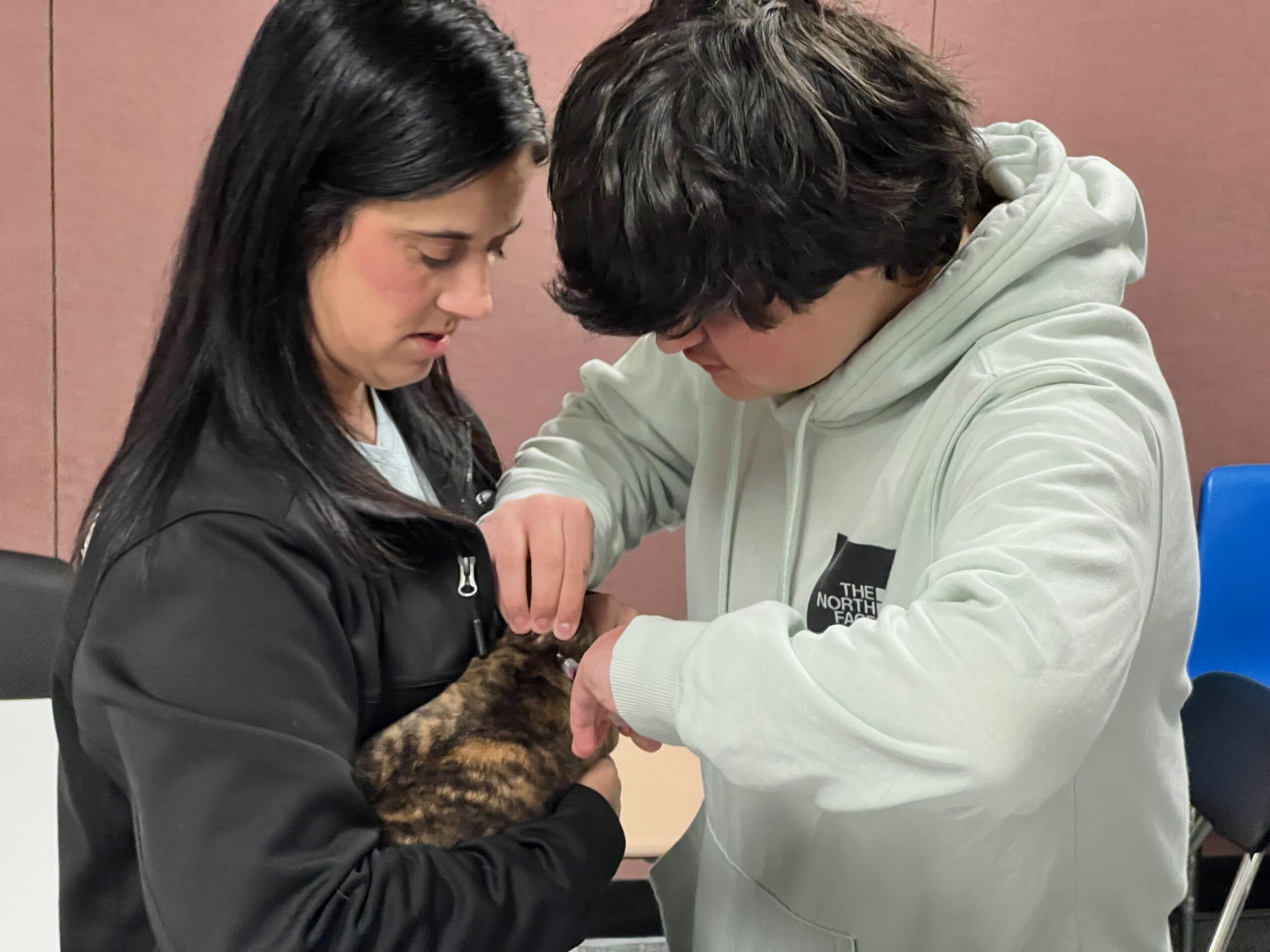 Bentley Siems helping vaccinate a puppy through Pawportunities